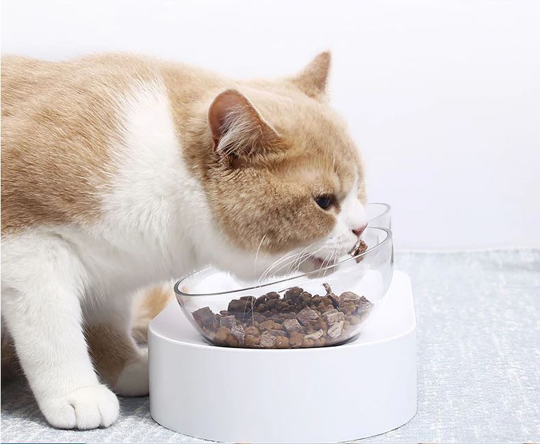 PETKIT Tempat Makan Hewan Peliharaan Kucing Anjing Feeding Dishes